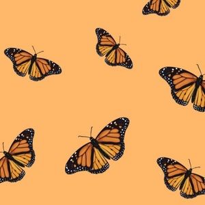 Meet your Posher, Bri